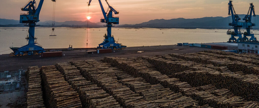 Logs at an ocean port waiting to be loaded at a port